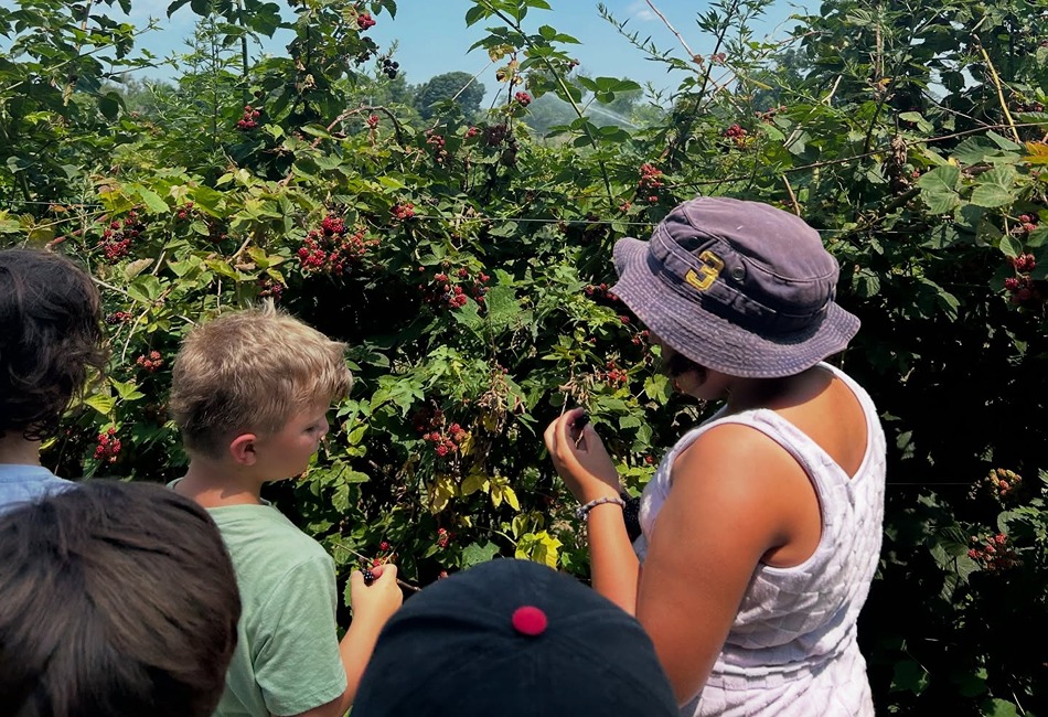 Snipes Farm and Education Center in Bucks County, PA. Photo credit - Snipes Farm & Education Center Facebook