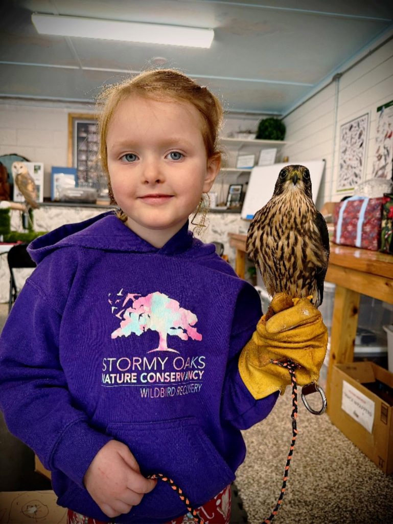 Stormy Oaks Nature Conservancy - Wildbird Recovery in Butler, PA. Photo credit - Wildbird Recovery Facebook