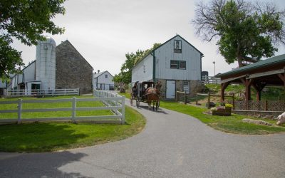 The Amish Experience