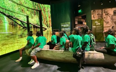 Budget-Smart Field Trips That Still Deliver Big Learning