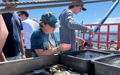 Dauphin Island Sea Lab