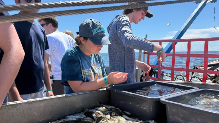 Dauphin Island Sea Lab 768x432