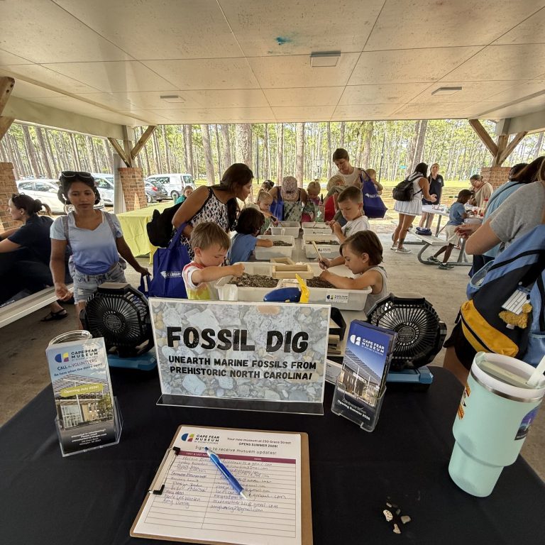 Dig for fossils at Cape Fear Museum. Credit Cape Fear Museum Facebook 768x768
