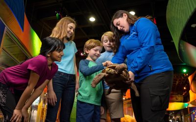 Discovery Place Science (Assigned to Makenzie 7/10)