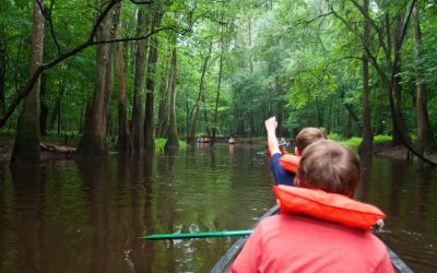Congaree National Park