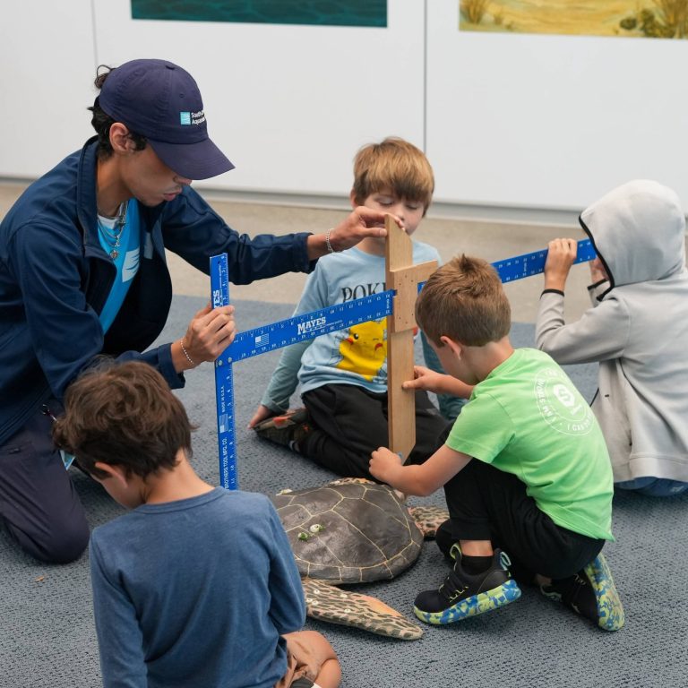 Hands on activities at the South Carolina Aquarium. Credit South Carolina Aquarium Facebook 768x768