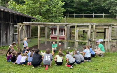 Heritage Farm Museum & Village