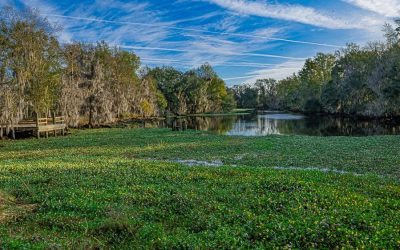 Jean Lafitte National Historical Park & Preserve