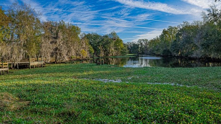 Jean Lafitte National Historical Park Preserve 768x432
