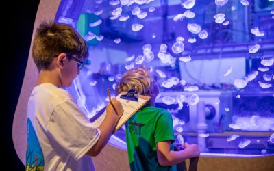 Mote Science Education Aquarium