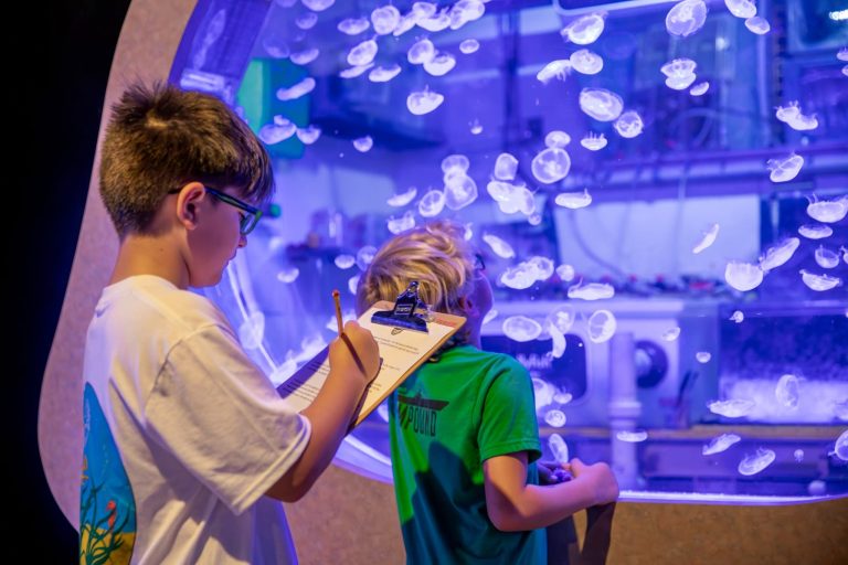 Mote Science Education Aquarium 768x512
