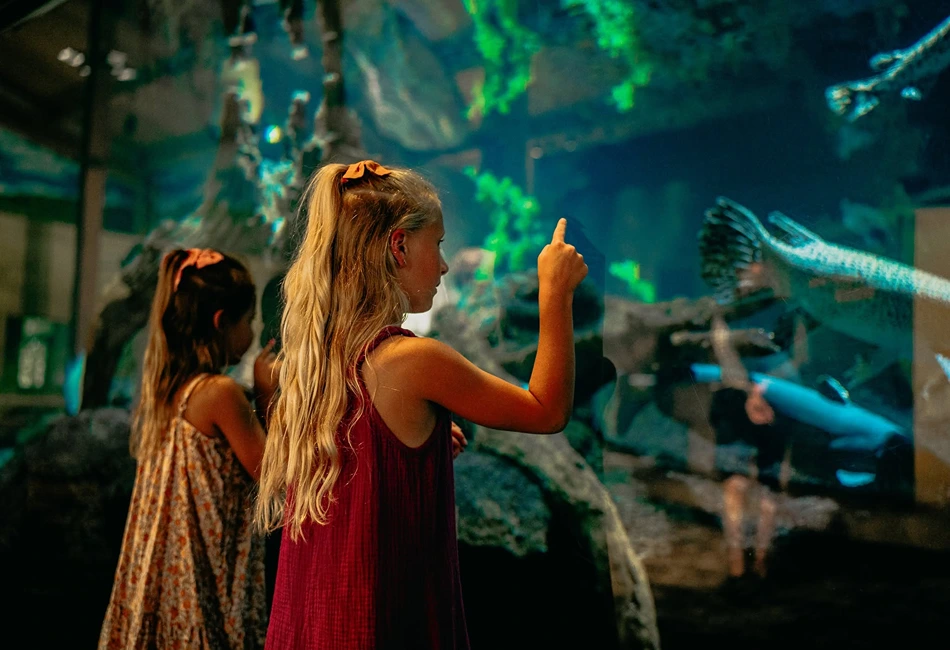 National Mississippi River Museum and Aquarium captivates all ages. Credit - National Mississippi River Museum & Aquarium Facebook