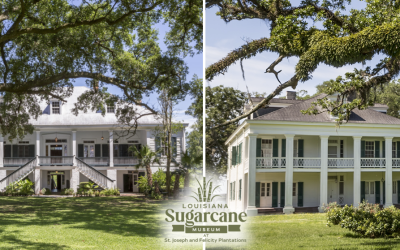 St. Joseph & Felicity Plantations