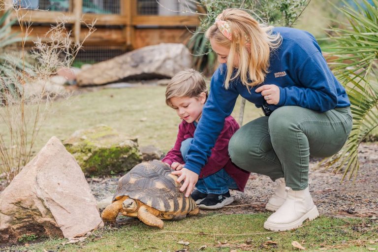 Unique animal encounters at Riverbanks Zoo Garden in Columbia SC. Credit Riverbanks Zoo and Garden Facebook 768x512